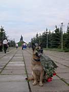 DSCN3750.JPG